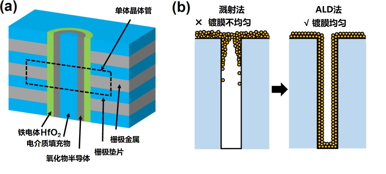 三维垂直通道型铁电体及反铁电体存储研发成功